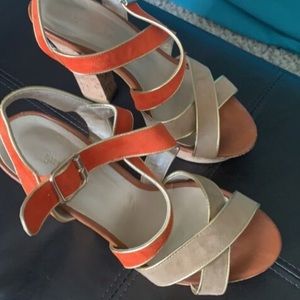 Orange and Gold Wedges